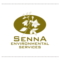 senna_fin